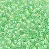 Transparent Glass Round Seed Beads SEED-B001-05A-06-3