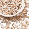 Glass Seed Beads GLAA-Q096-01F-1