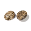 Natural Picture Jasper Cabochons G-B080-01A-11-2