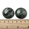 Natural Kambaba Jasper Cabochons G-C115-02B-24-3