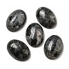 Natural Larvikite Cabochons G-C115-01A-40-1