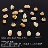 ARRICRAFT Natural Citrine Beads Strands G-AR0002-71-2