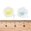 Frosted Transparent Acrylic Beads OACR-A032-16-3