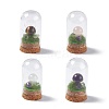 Natural Mixed Stone Mushroom Display Decoration with Glass Dome Cloche Cover G-E588-03-1