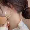 Alloy Enamel Hoop Earrings FS-WG76269-02-3
