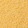 MIYUKI Round Rocailles Beads SEED-G008-RR0202-3