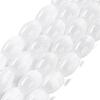 Macaron Color Natural Selenite Beads Strands X1-G-B102-A01-09-1