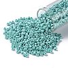 TOHO 8/0 Round Beads SEED-XTR08-0413F-2