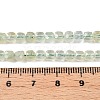 Natural Prehnite Beads Strands G-N342-125-5