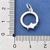 925 Sterling Silver Pendants STER-S009-02C-S-3