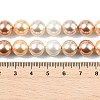 Round Shell Pearl Beads Strands BSHE-XCP0001-20-4