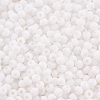 8/0 Opaque Glass Seed Beads X1-SEED-S048-N-019-3