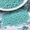 MIYUKI Delica Beads SEED-MY11-DB1586-1