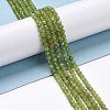 Natural Olive Jade Beads Strands G-D463-13B-4
