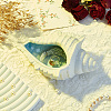 Conch Shape Porcelain Jewelry Plate DJEW-WH0009-28A-4