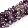 Natural Purple Lodolite Quartz/Purple Phantom Quartz Beads Strands G-T140-21C-1