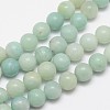 Round Natural Amazonite Bead Strands G-I183-02-12mm-1