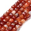 Natural Agate Beads Strands G-G172-02-2