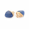 Natural Blue Aventurine Charms G-N326-121-06-3