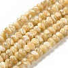 Natural Trochus Shell Beads Strands SHEL-K006-25A-1