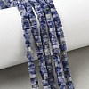 Natural Blue Spot Jasper Beads Strands G-I394-A08-1