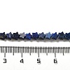 Natural Lapis Lazuli Beads Strands G-G085-B02-02-4