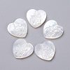 Natural White Shell Mother of Pearl Shell Cabochons SSHEL-L017-013-1