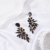 1 Pair Resin Wing Dangle Stud Earrings EJEW-LP0001-23C-3