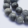 Natural Hawk's Eye Beads Strands G-L478-02-12mm-2