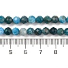 Natural Apatite Beads Strands G-F770-C02-02-5