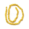 Natural Freshwater Shell Beads SHEL-B003-01-2