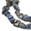 Natural Kyanite Beads Strands G-P497-01E-40-4