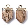 Natural Picture Jasper Pointed Pendants G-N326-34I-2