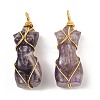 Natural Amethyst Pendants G-K338-30G-04-1