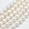 Natural Cultured Freshwater Pearl Beads Strands PEAR-F007-26-1