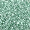 Glass Seed Beads SEED-L011-05B-14-3