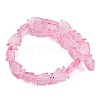 Transparent Glass Enamel Beads LAMP-U004-06R-2