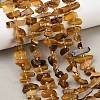 Natural Amber Beads Strands G-P619-A02-01-1