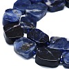 Natural Sodalite Beads Strands G-K245-J15-01-3