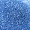 MIYUKI Delica Beads SEED-MY11-DB0113-3