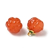 Glass Charms GLAA-P072-04G-10-2