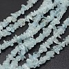 Chips Natural Aquamarine Beads Strands X-G-N0164-24-1