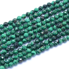 Natural Malachite Beads Strands G-I279-E15-02