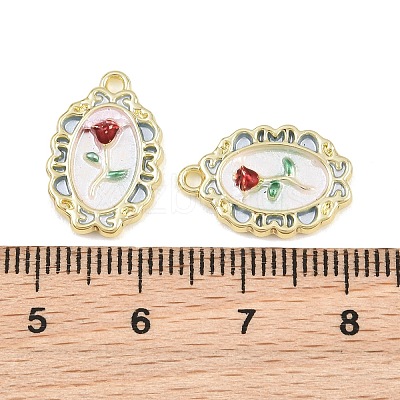 Alloy & Enamel & Resin Pendants RE-CBA415D-33G-1