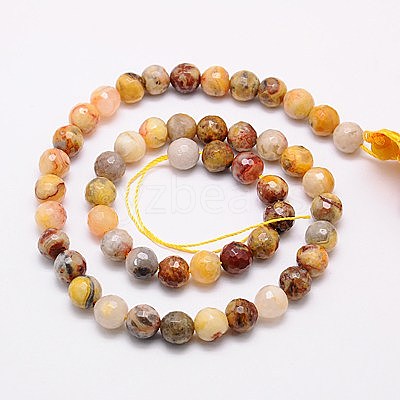 Natural Crazy Lace Agate Beads Strands G-G542-8mm-10-1