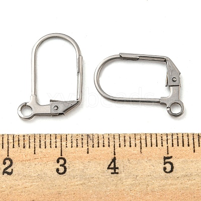Non-Tarnish 304 Stainless Steel Leverback Earring Findings STAS-P360-02B-P-1