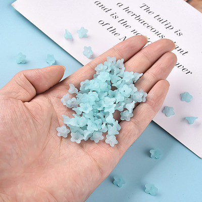 Transparent Acrylic Beads PL554-11-1