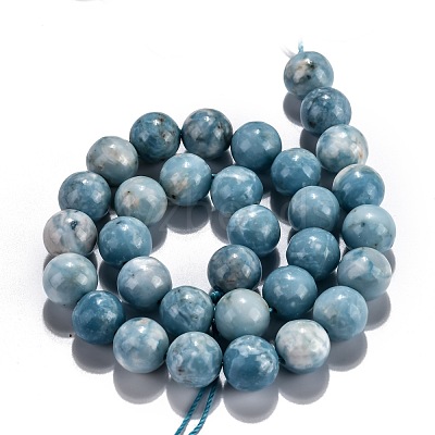 Natural Gemstone Beads Strands G-L367-01-6mm-1