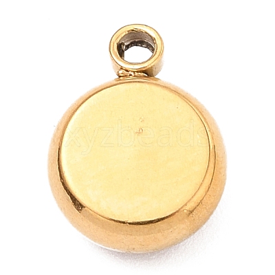 304 Stainless Steel Charms STAS-I165-04B-G-1