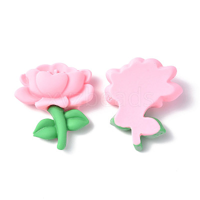 Opaque Resin Cabochons CRES-P023-04A-1
